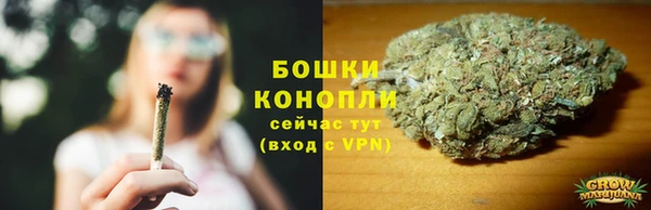 2c-b Горняк