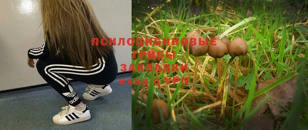 синтетический гашиш Горно-Алтайск