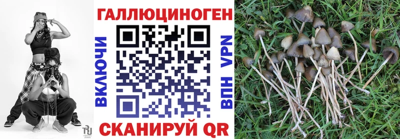 Купить  Елабуга  Псилоцибиновые грибы прущие грибы 